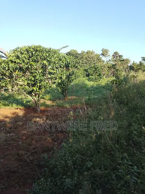 350 Acres of Land for Sale in Kakiri Kiti at 17m Ugx