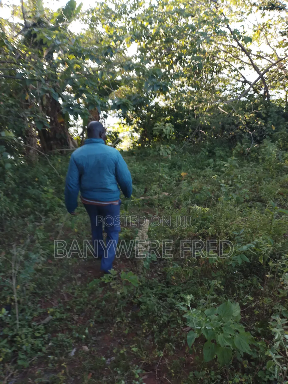 350 Acres of Land for Sale in Kakiri Kiti at 17m Ugx