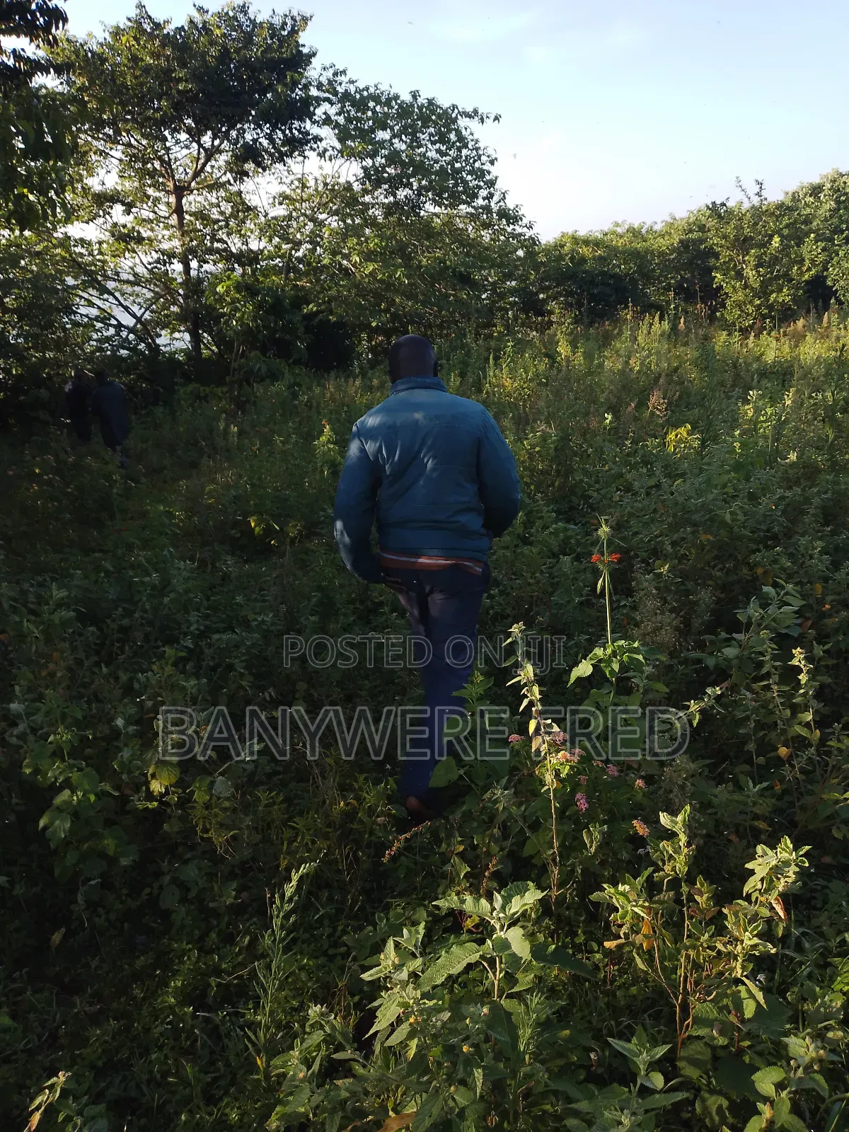 10 Acres of Land for Sale in Nakaseke Ugx Per Acre