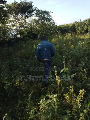 10 Acres of Land for Sale in Nakaseke Ugx Per Acre