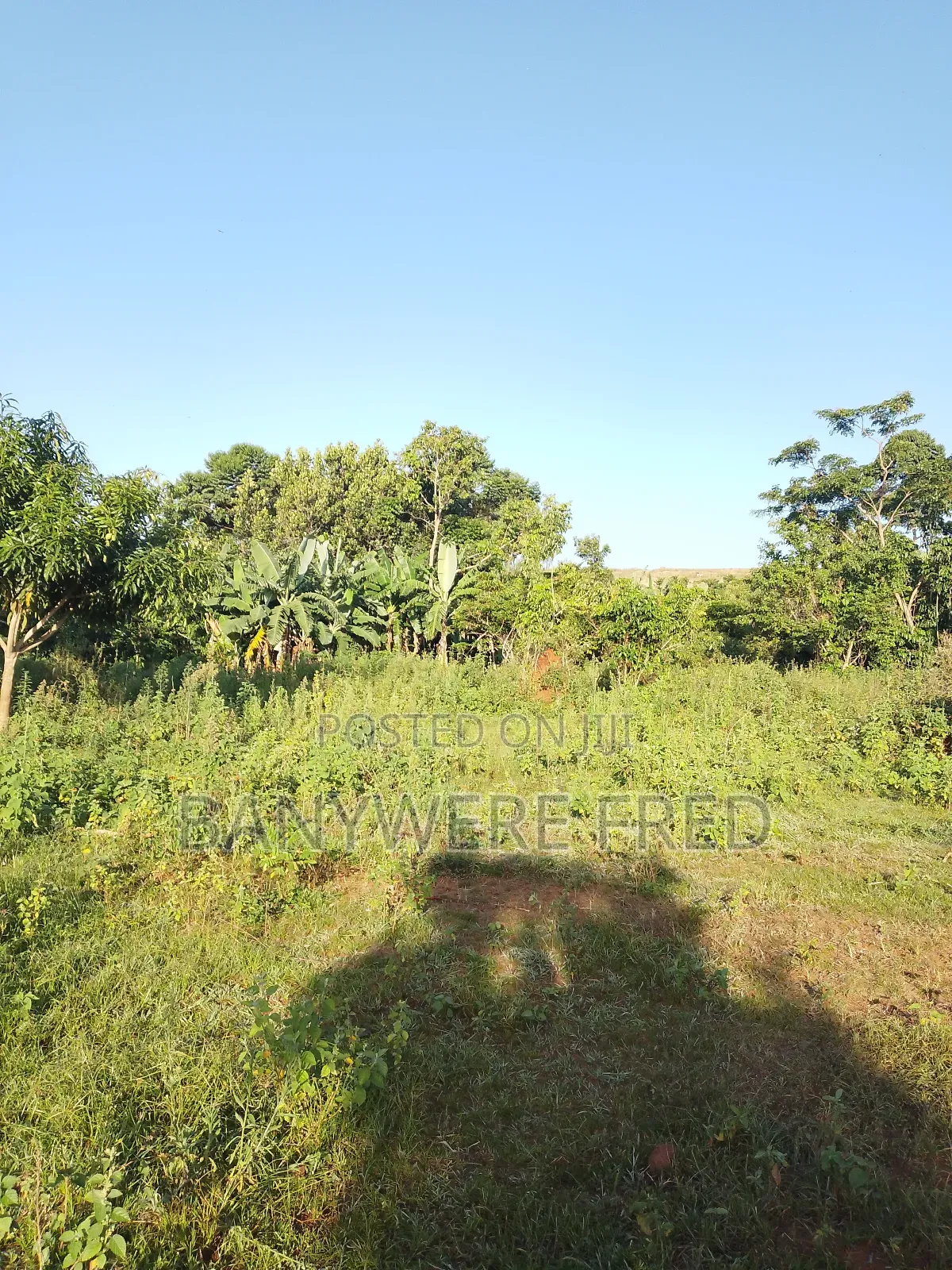 10 Acres of Land for Sale in Nakaseke Ugx Per Acre