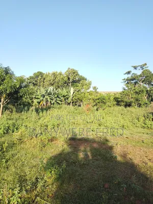 10 Acres of Land for Sale in Nakaseke Ugx Per Acre