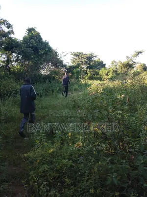 10 Acres of Land for Sale in Nakaseke Ugx Per Acre