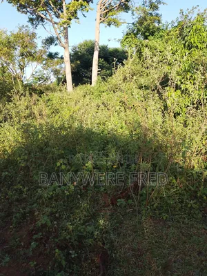 4.5 Acres of Land for Sale at 60m Ugx Per Acre in Nyenga Buikwe