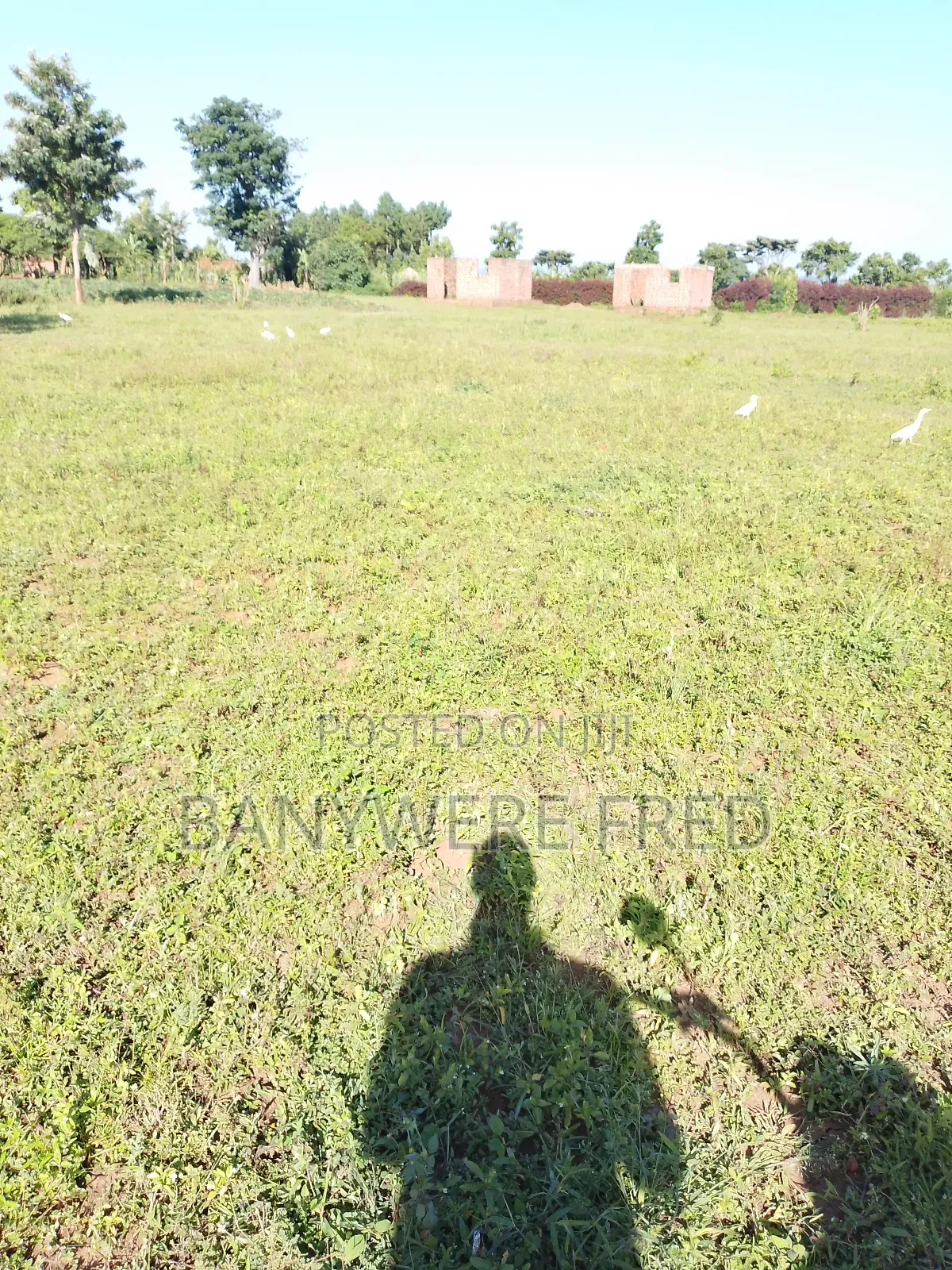 4.5 Acres of Land for Sale at 60m Ugx Per Acre in Nyenga Buikwe