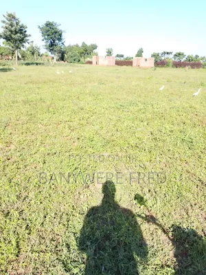 4.5 Acres of Land for Sale at 60m Ugx Per Acre in Nyenga Buikwe