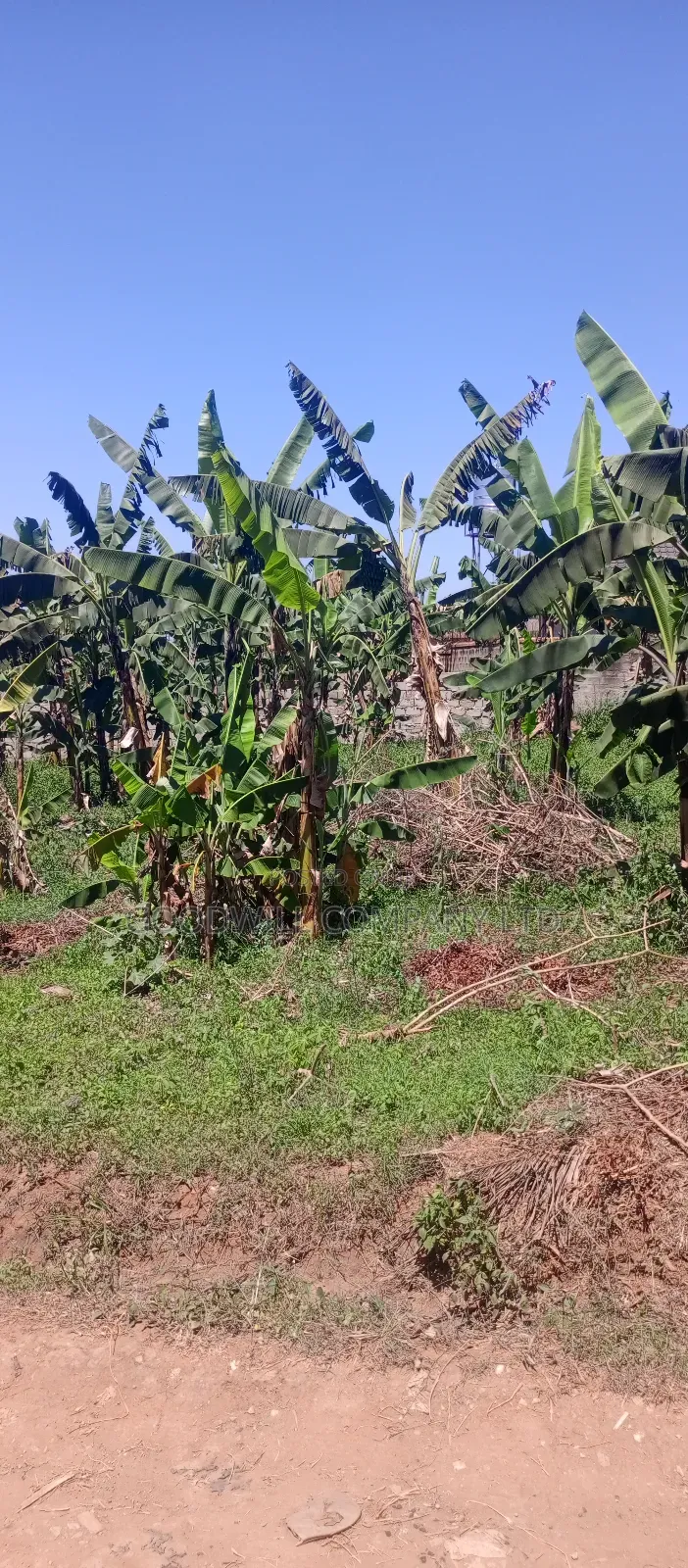 100*100 Plot of Land in Sonde After Namugongo
