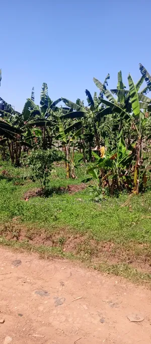 100*100 Plot of Land in Sonde After Namugongo