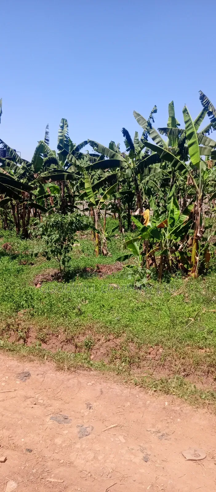 100*100 Plot of Land in Sonde After Namugongo
