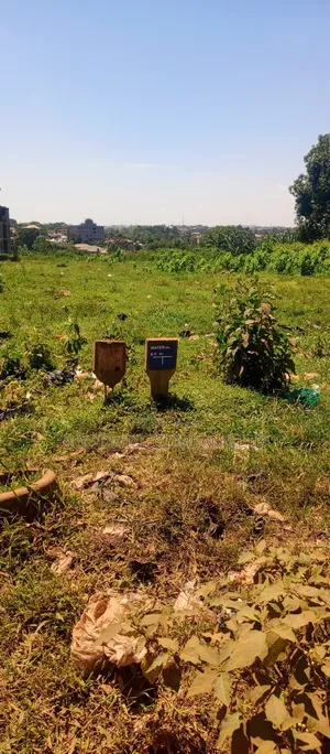 25 Decimals of Land Touching on Marrum Road in Sonde