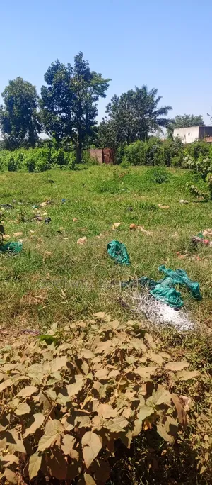 25 Decimals of Land Touching on Marrum Road in Sonde