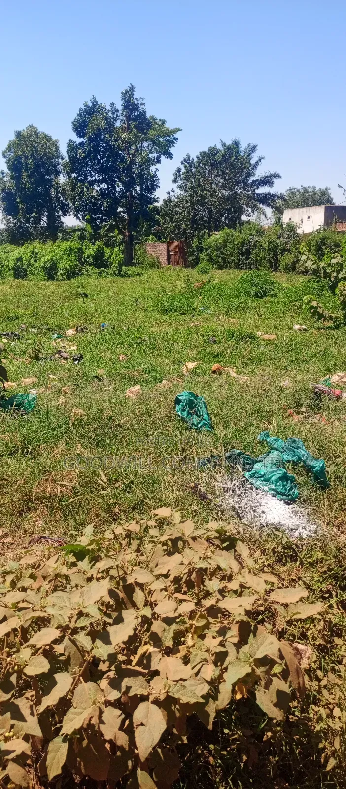 25 Decimals of Land Touching on Marrum Road in Sonde