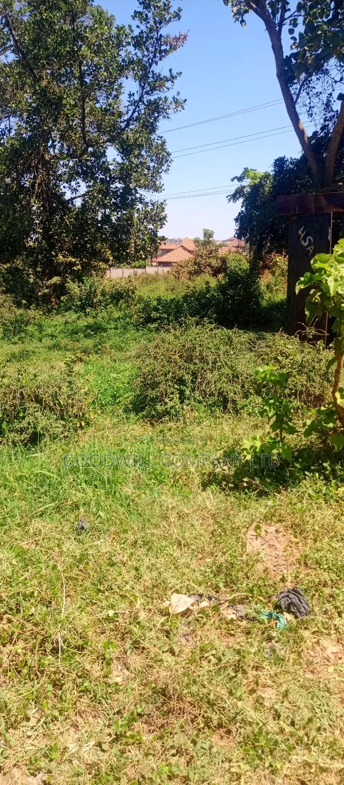 100*100 Plot of Land in Kikulu Town Namugongo on Nabusugwe Rd