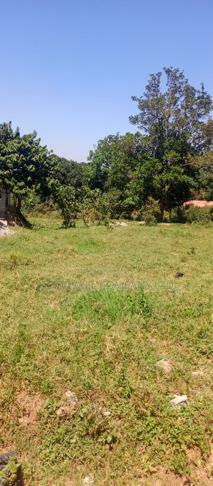 100*100 Plot of Land in Kikulu Town Namugongo on Nabusugwe Rd