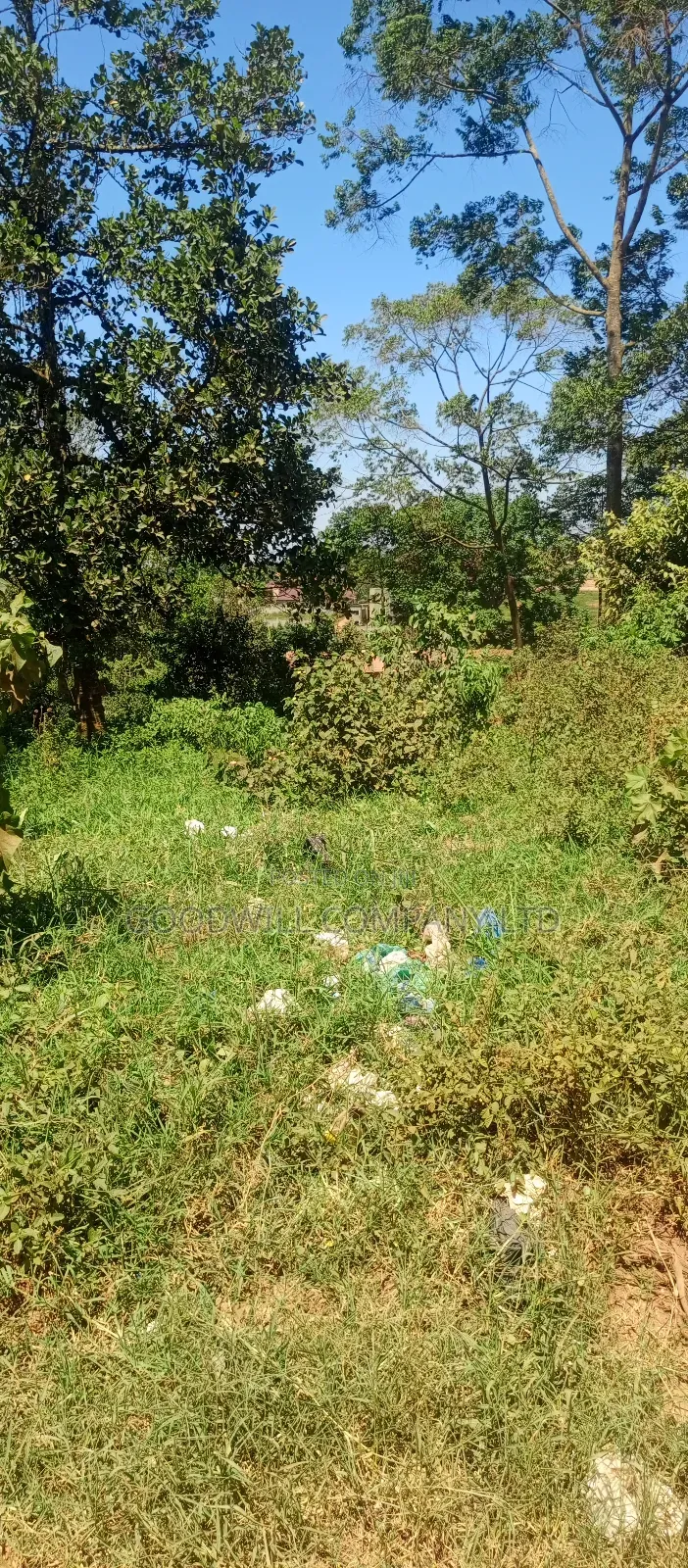 100*100 Plot of Land in Kikulu Town Namugongo on Nabusugwe Rd
