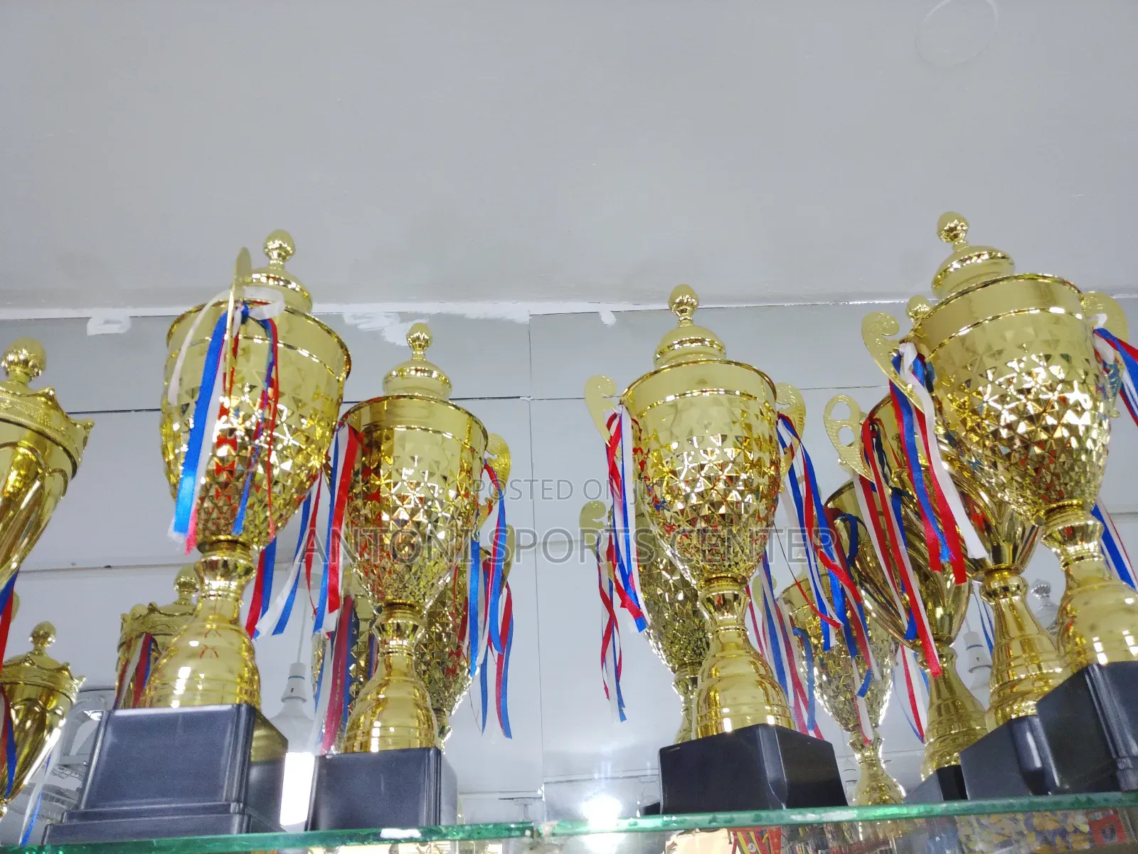 Gold Trophies 62cm