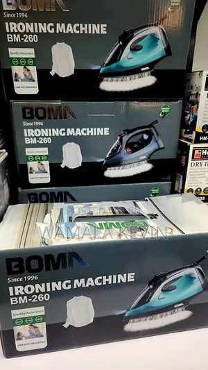 Steam Iron