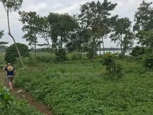 7.5 Acres in Mukono on Lake Victoria for Sale