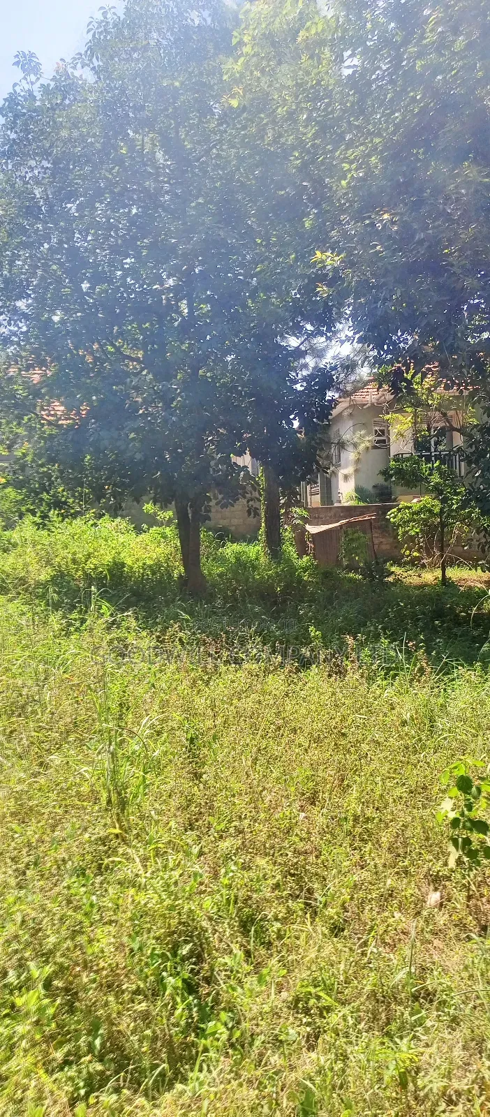 25 Decimals of Land in Bulindo on Nsasa Road