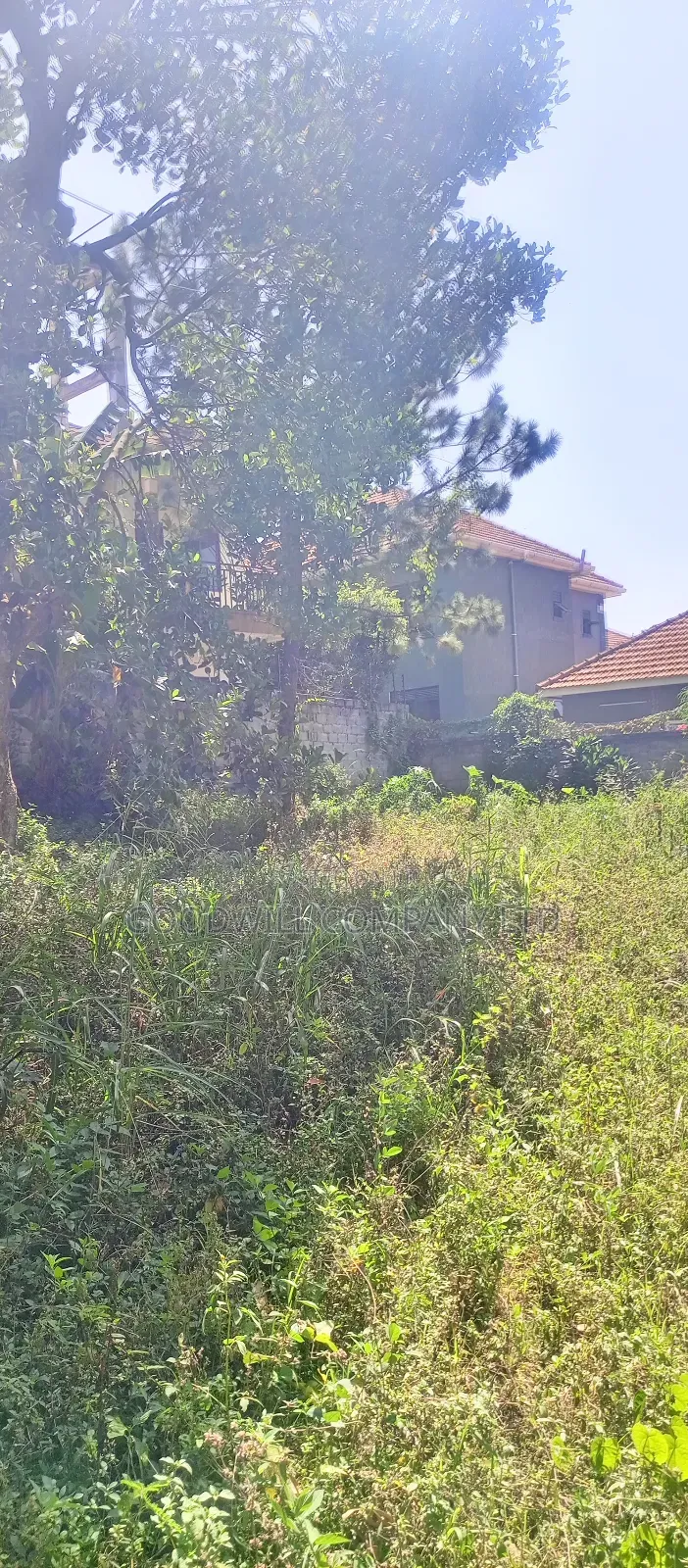 25 Decimals of Land in Bulindo on Nsasa Road