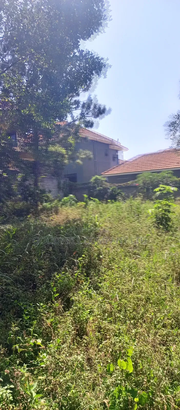 25 Decimals of Land in Bulindo on Nsasa Road
