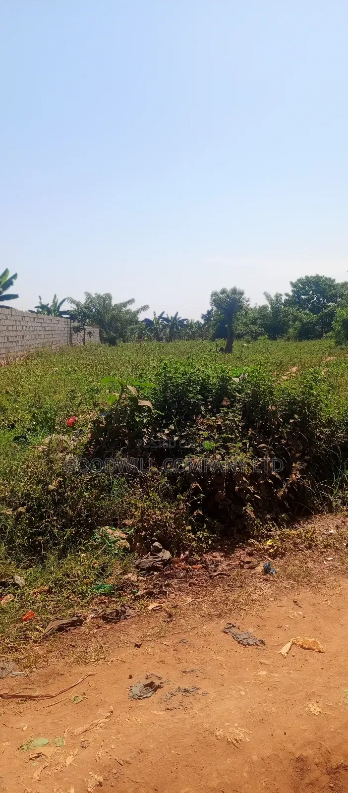 50*100 Plot of Land Touching on Marrum Road in Nsasa Near Bulindo Town