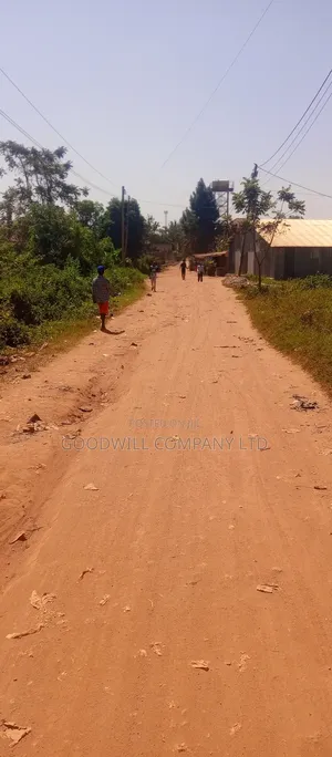 50*100 Plot of Land Touching on Marrum Road in Nsasa Near Bulindo Town