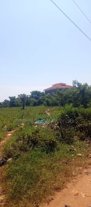 50*100 Plot of Land Touching on Marrum Road in Nsasa Near Bulindo Town