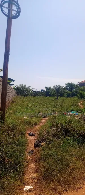 50*100 Plot of Land Touching on Marrum Road in Nsasa Near Bulindo Town