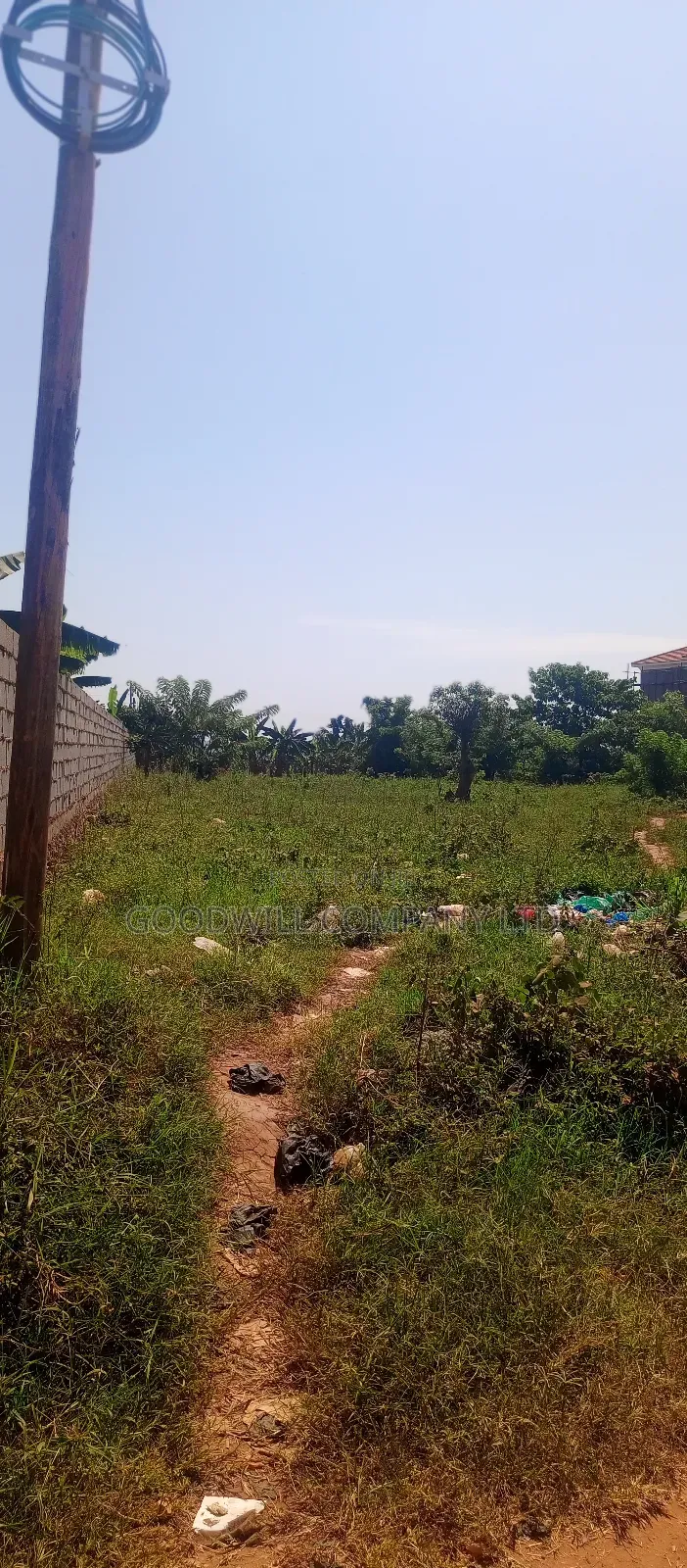 50*100 Plot of Land Touching on Marrum Road in Nsasa Near Bulindo Town