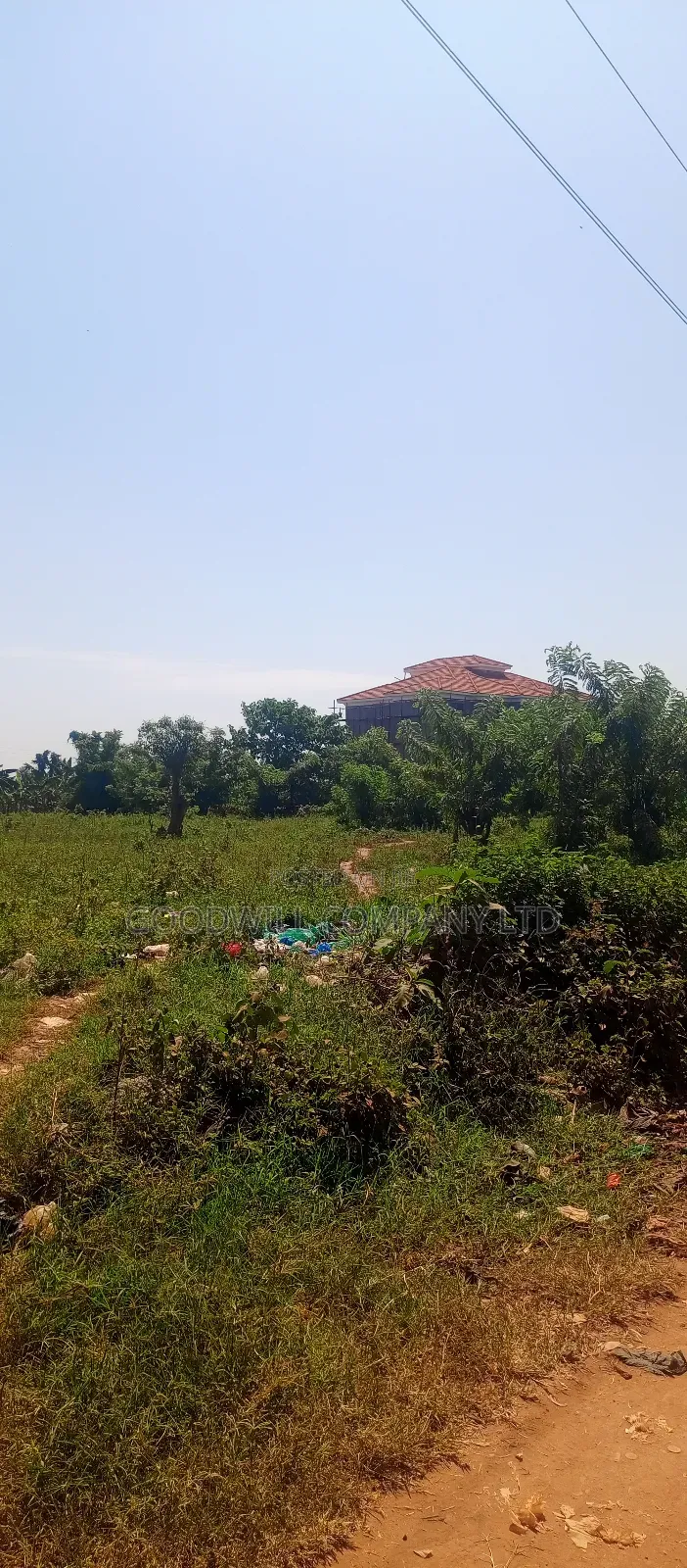50*100 Plot of Land Touching on Marrum Road in Nsasa Near Bulindo Town