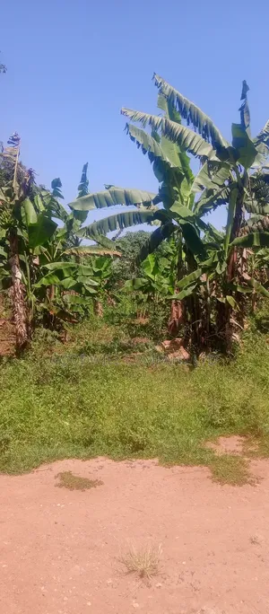50*100 Plot of Land in Kabubu Gayaza