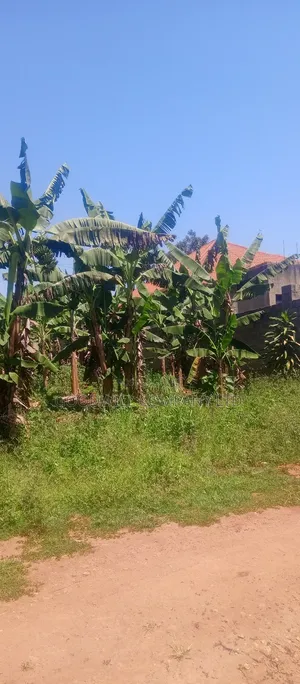 50*100 Plot of Land in Kabubu Gayaza