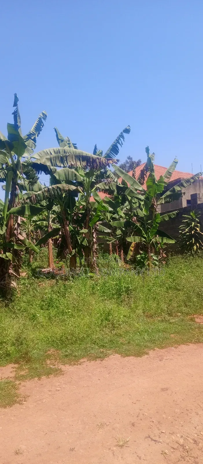 50*100 Plot of Land in Kabubu Gayaza