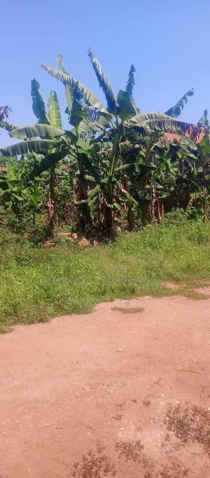 50*100 Plot of Land in Kabubu Gayaza