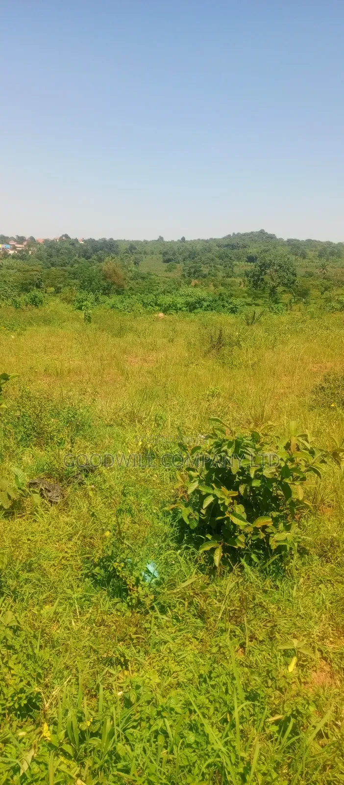 4 Acres of Commercial Land on Gayaza-Kayunga Tarmac Road in Nakasaja