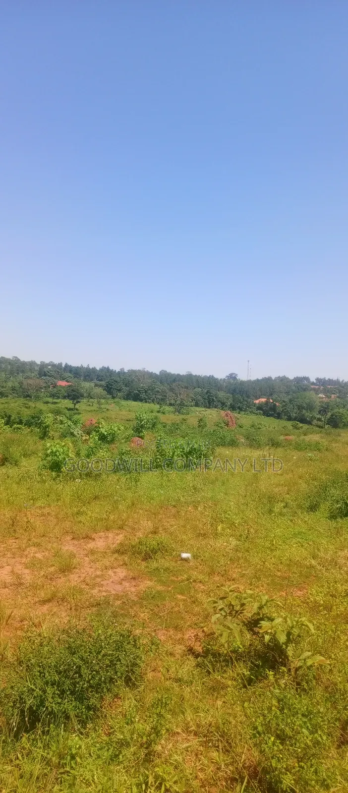 4 Acres of Commercial Land on Gayaza-Kayunga Tarmac Road in Nakasaja