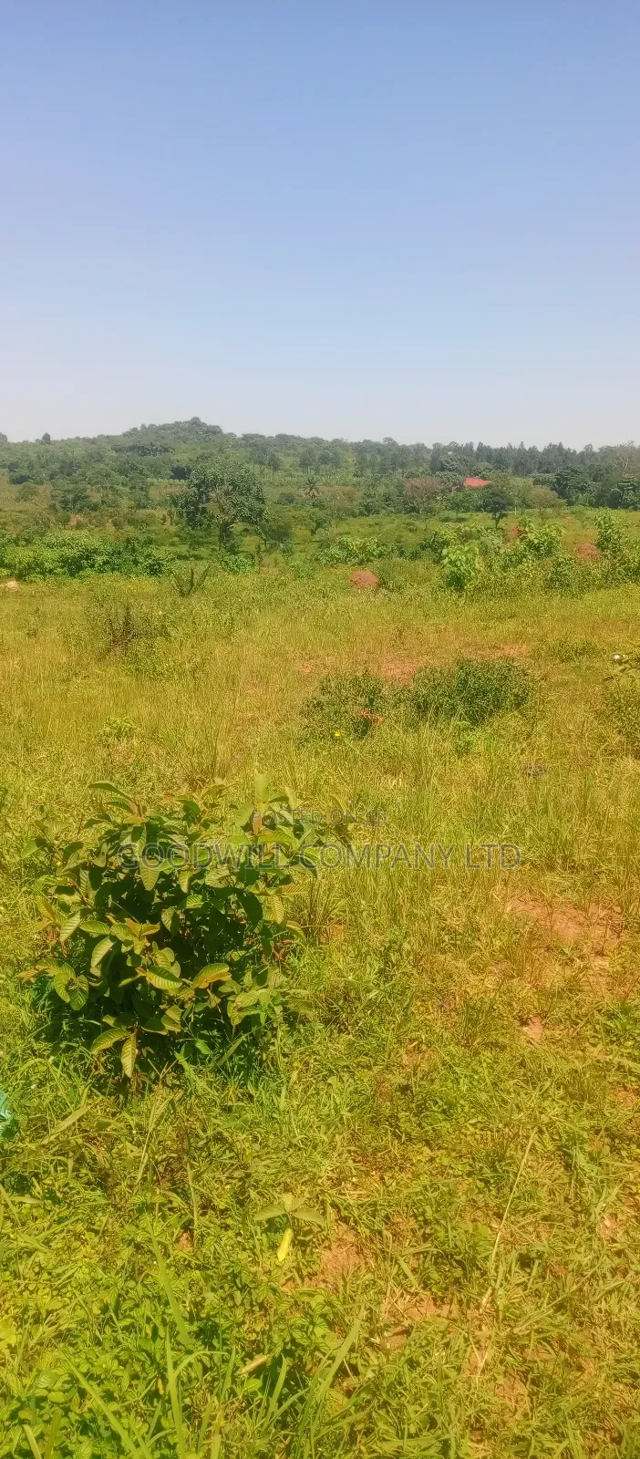 4 Acres of Commercial Land on Gayaza-Kayunga Tarmac Road in Nakasaja