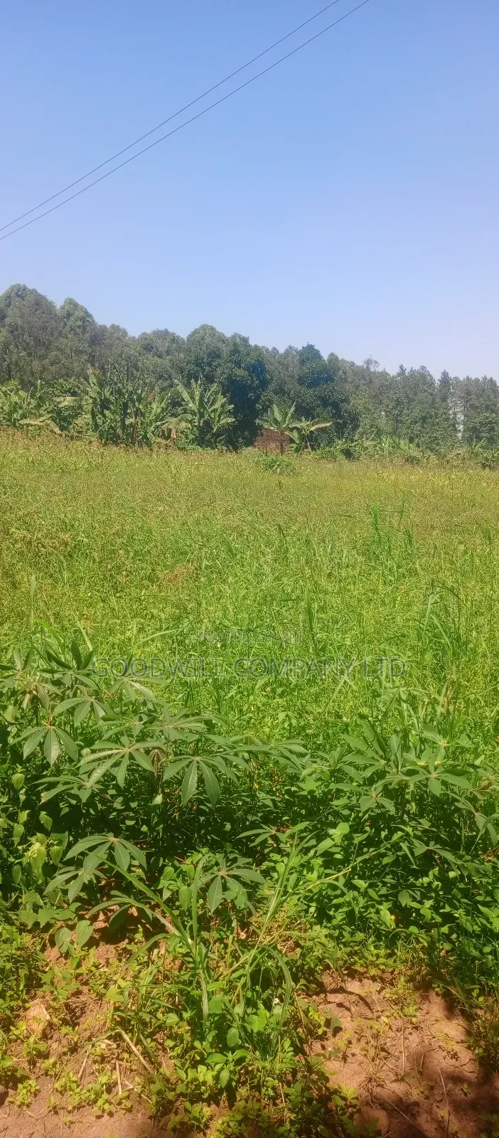 2 Acres of Land in Kyabakade Namengo