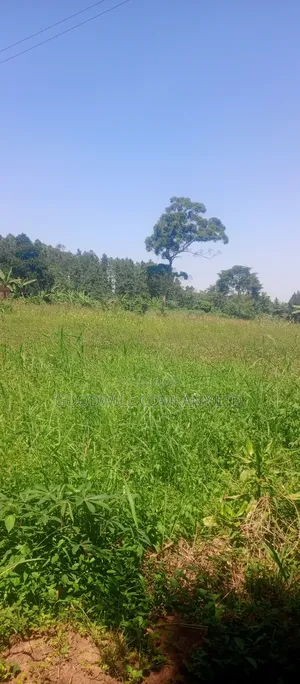 2 Acres of Land in Kyabakade Namengo