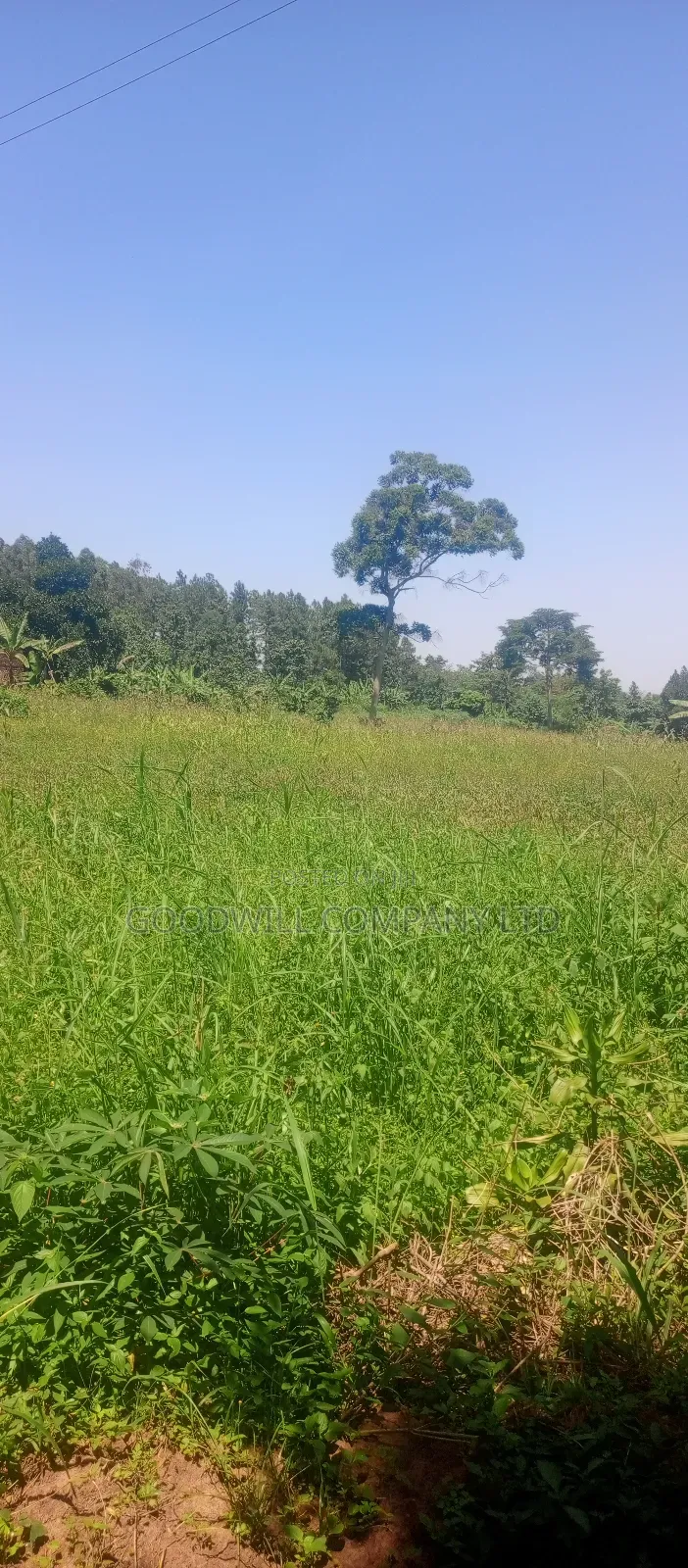 2 Acres of Land in Kyabakade Namengo