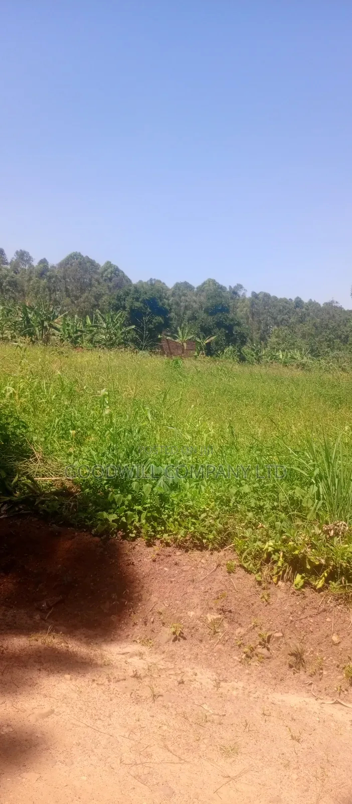 2 Acres of Land in Kyabakade Namengo