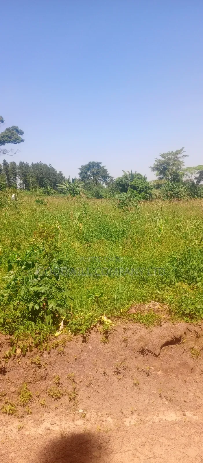 2 Acres of Land in Kyabakade Namengo