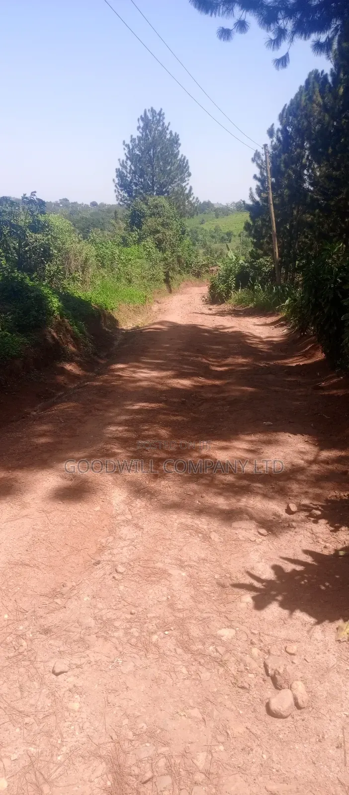 2 Acres of Land in Kyabakade Namengo