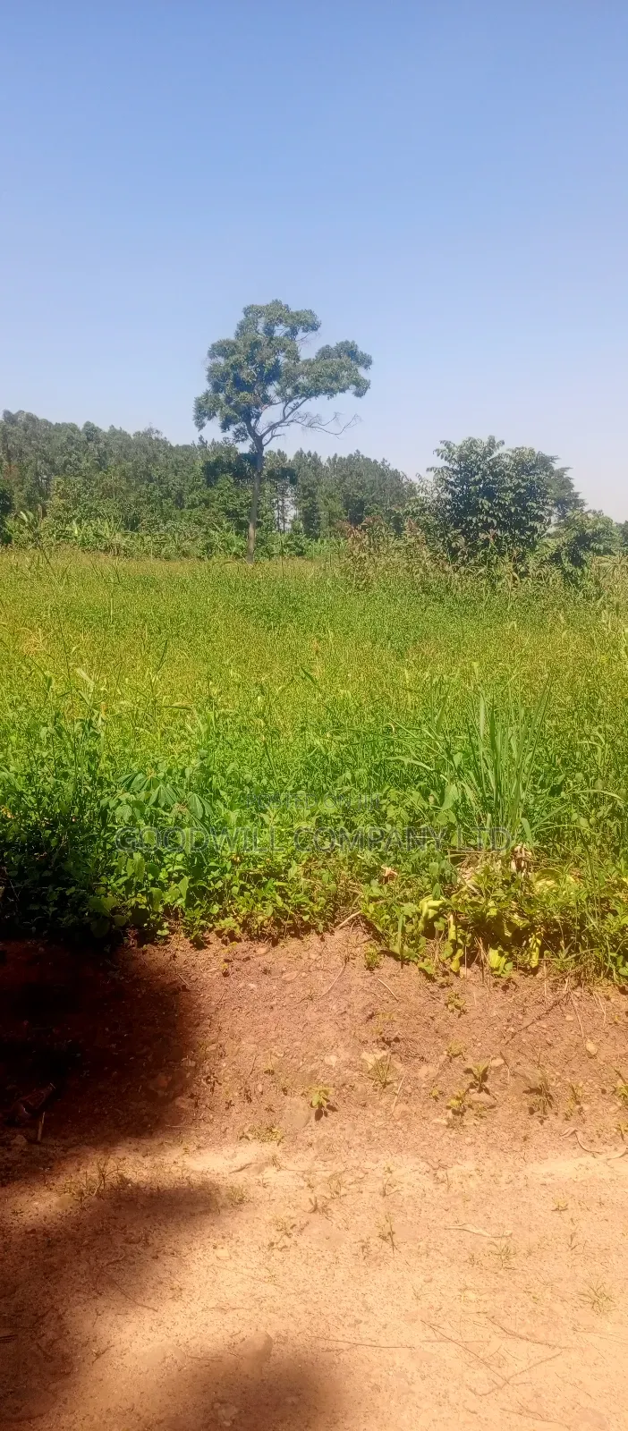 2 Acres of Land in Kyabakade Namengo