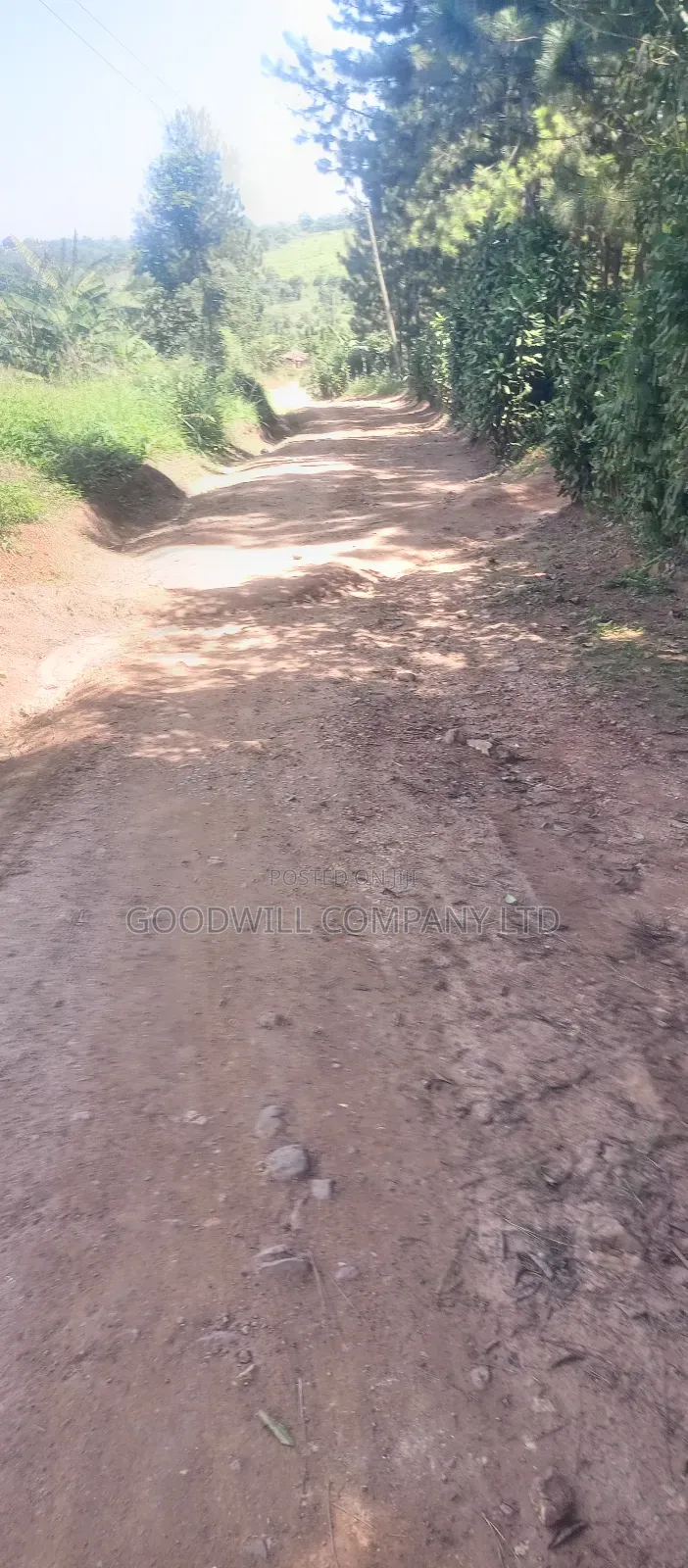 2 Acres of Land in Kyabakade Namengo