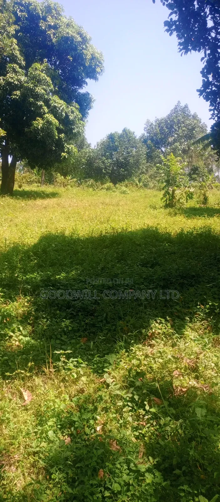 4 Acres of Land in Nakasaja Namengo Village
