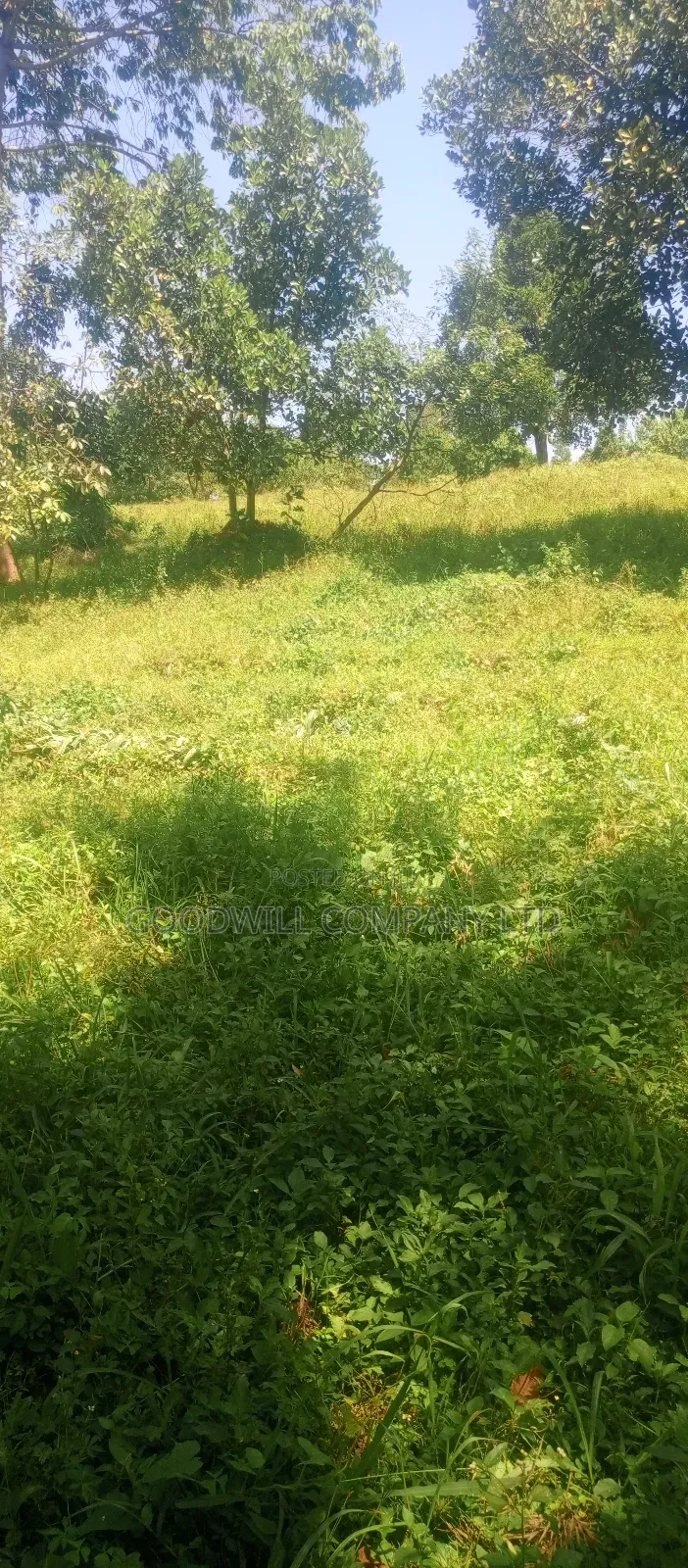 4 Acres of Land in Nakasaja Namengo Village