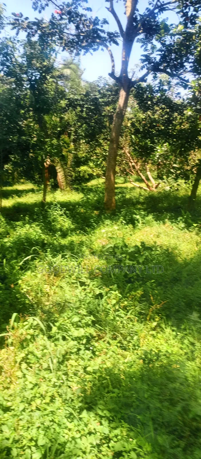 4 Acres of Land in Nakasaja Namengo Village