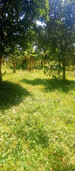 4 Acres of Land in Nakasaja Namengo Village